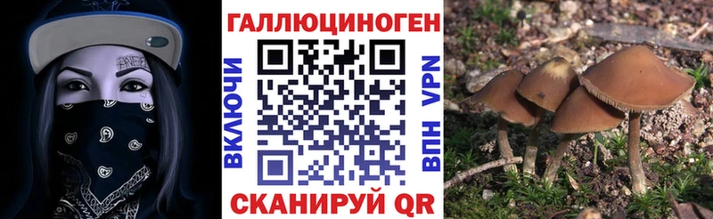 сколько стоит  Ленинградская  Псилоцибиновые грибы ЛСД 